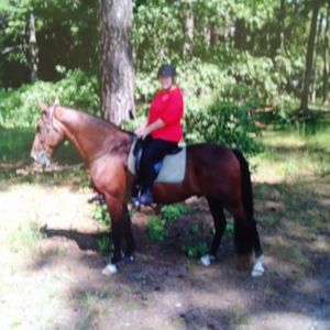 Meet your Posher, Veronica